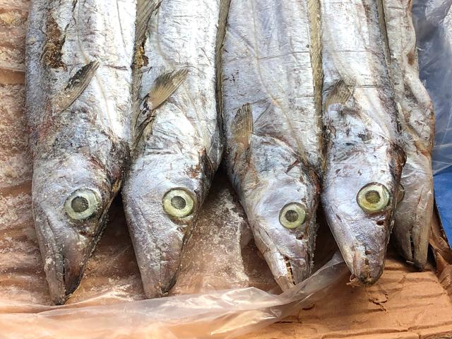 怎样挑选新鲜带鱼，如何挑选鲜带鱼（牢记“3买3不买”）