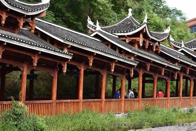 黔南布依族苗族州，娃娃鱼图片大全大图