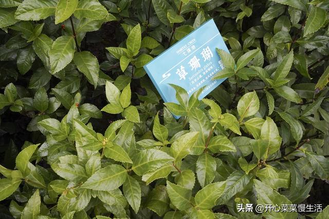 花都有什么旅游景点，花都有什么旅游景点介绍（广州花都这里被称8平方公里世外香境）