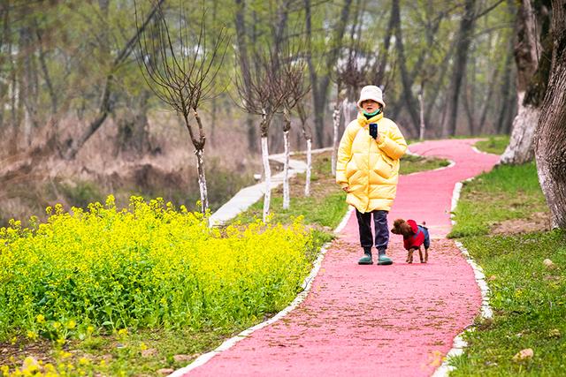 河南红色旅游景点，豫南一条红色旅游线路（河南红色旅游景点排名前十名）