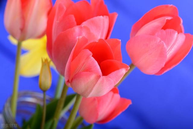 试问苍天饶过谁的上一句，苍天饶过谁的前一句是啥（心怀善念，福气相伴）