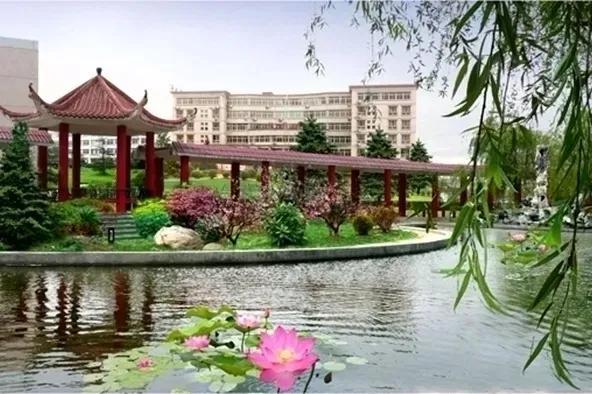 2022安徽绿海商务职业学院在河南录取分数线及招生计划，含招生人数、位次（安徽绿海商务职业学院2022年招生指导）