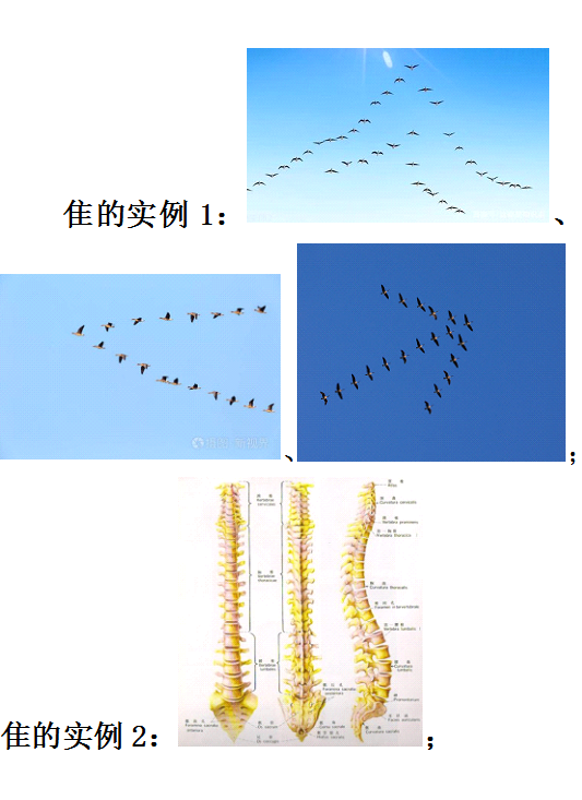 隹字旁的字有哪些，隹字旁的字有哪些字（隹字旁的字大部分和什么有关）