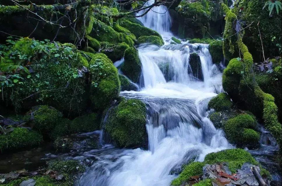 瓦屋山旅游攻略，瓦屋山旅游攻略自驾游（洪雅游玩攻略，快快收藏）