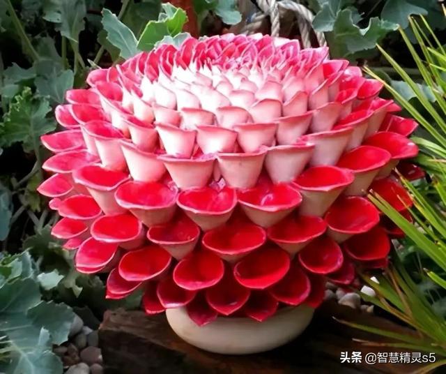 铁树开花的方法，铁树开花的方法有哪些（铁树开花了，也有芬芳的一天）