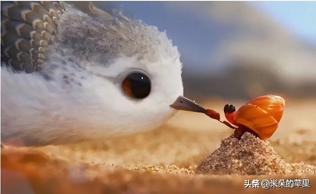 有内涵的动画片，最内涵的十大动漫是什么（一定要陪他看这5部动画短片）