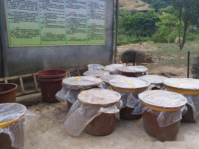 饲料发酵剂有什么作用，饲料发酵剂有什么作用和功效（好处诸多，详细情况请看下文）