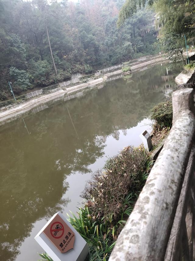 歌乐山森林公园，重庆旅游必去景点（歌乐山国家森林公园）