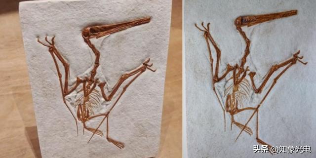 怎样看三维图，怎样三维图导入触摸屏里（3D扫描仪如何进行彩色扫描）