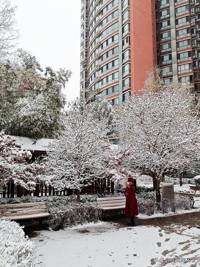 春天真美写一小段话，春天真美呀写句子（一场雪，让这里的春天真美）