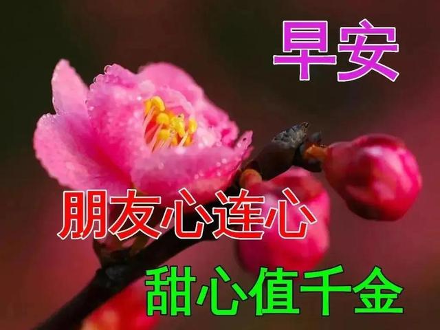 我今天为你祝福，我今天为你祝福歌词（感恩有你早晨问候祝福语）