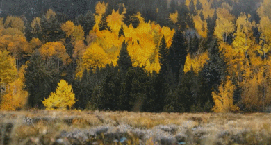 左耳电影剧情介绍，电影左耳剧情介绍（满屏都是“情欲”的撩拨）