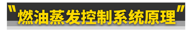 碳罐多久换一次，朗动的碳罐多久更换一次（也千万别把油“加满”）