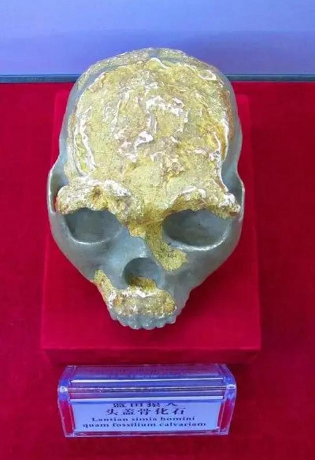 杨贤江的名言，杨贤江的名言青年的懒（中国大地教育的起源）