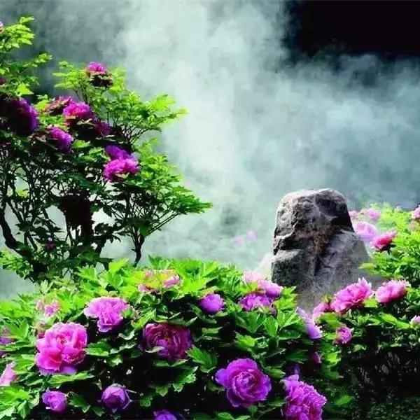 春天去哪里旅游好，这才是春天最值得去的20个地方（中国最美的30个地方）