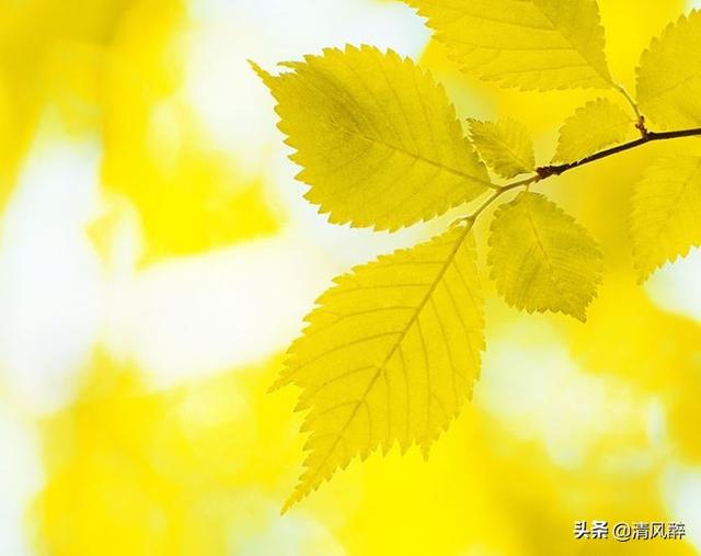 加油鼓励的句子，工作加油鼓励的句子（为新的一天加油的说说）