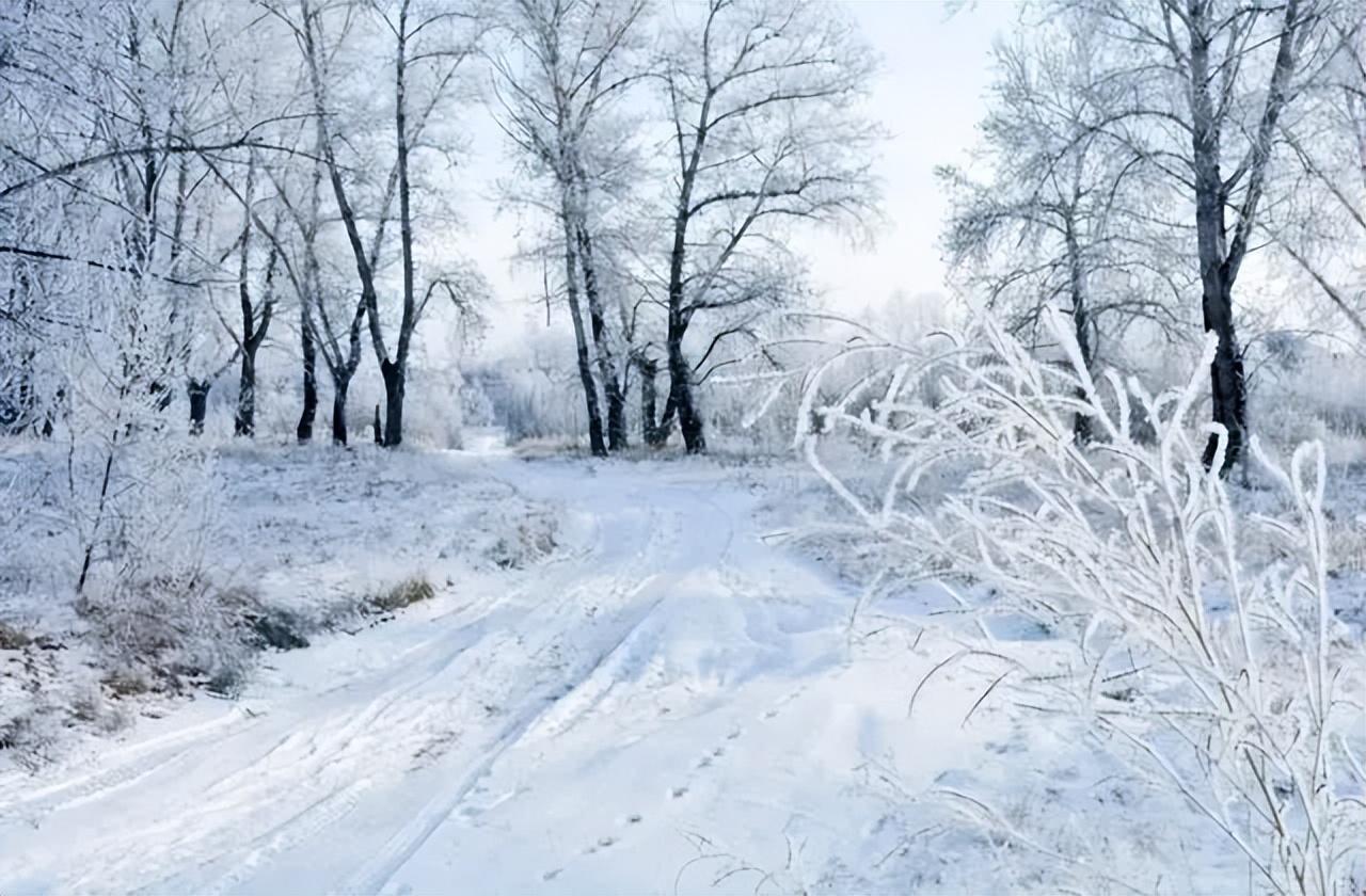 大雪节气的古诗词有哪些，5首关于大雪节气的古诗