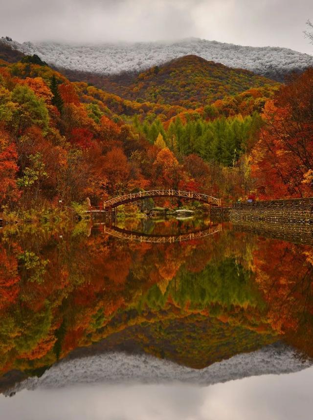 本溪特色美食有哪些，本溪特色美食有哪些小吃（国内唯一媲美北疆的地方）