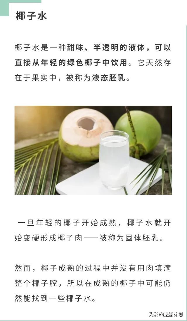 椰奶和椰汁有什么区别，椰汁和椰奶的区别（椰子水和椰奶究竟有何不同）