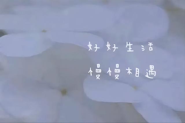 宠妻如令雾矢翊，宠妻系列雾矢翊（推荐五本巨甜的言情小说）