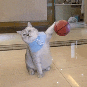 斗图专用，斗图专用表情包熊猫头（表情包，斗图专用表情）