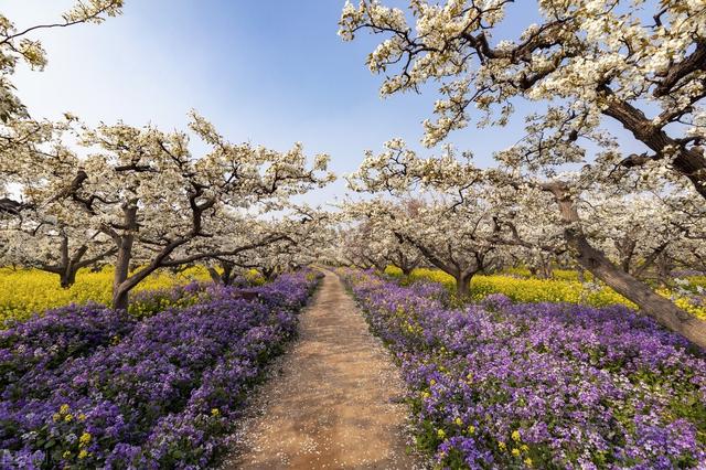 富的成语有哪些成语有哪些，富成语有哪些成语大全（“百”字开头的成语有哪些）