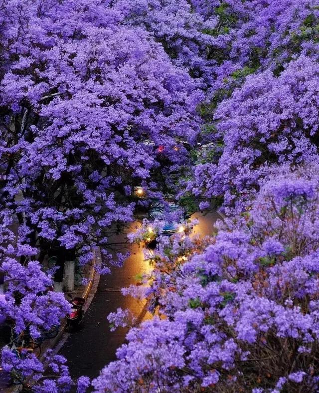 春风不解风情吹动少年的心，春风不解风情吹动少年的心歌词（春风不解风情，吹动了少年的心图片）