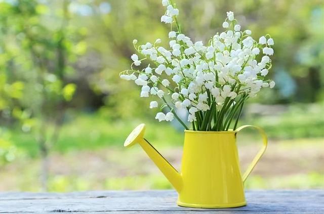 早晨的太阳怎么形容，描写早晨的太阳的唯美词语有哪些（开口见人品）