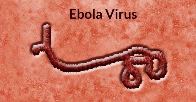 埃博拉为什么叫僵尸病毒，为何埃博拉叫丧尸病毒（它最开始是在埃博拉河流域出现）