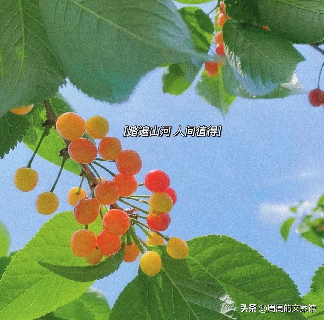 假期结束了怎么发朋友圈（结束假期的收心的朋友圈）