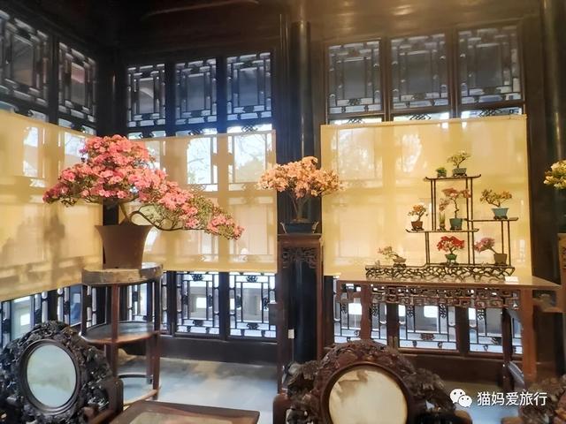 苏州山塘街攻略，苏州山塘街美食最强攻略（周末轻松苏州游）