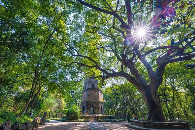 浦江是什么省什么市，浦江是哪个市的（浦江县这两个“公园”有了新身份）