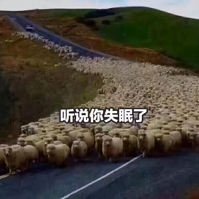 逗人开心的图片，高级文案幽默笑死人（一期看完就会开心的图片）