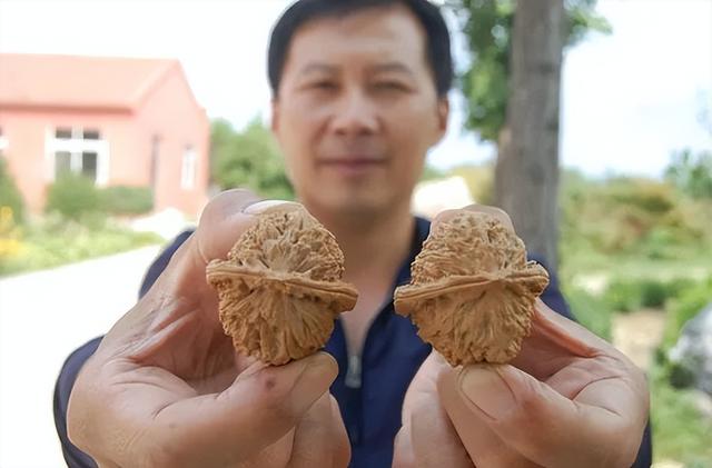 核桃如何把玩包浆快，核桃怎么玩包浆（文玩核桃如何盘出完美包浆）