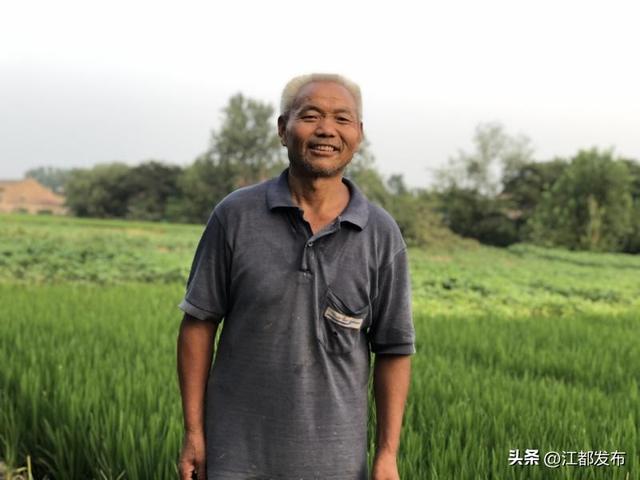 江苏江都邮编多少，江苏扬州江都区的邮编（2022年二季度江都先进典型公示啦）