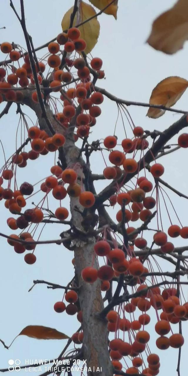 灵魂相似的人一旦相逢，灵魂相似的人一旦相逢是知心朋友（总有一天会在路上相逢）