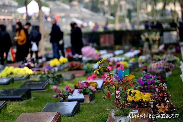 扫墓带什么祭品，扫墓需要准备什么东西（牢记水果“5带4不带”）
