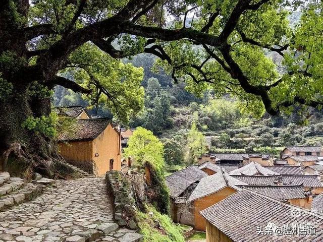 松阳县旅游景点，古韵松阳——江南最后的秘境