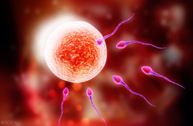 长时间不排精会怎样，如果长时间不排精会怎样（精子“憋而不排”）