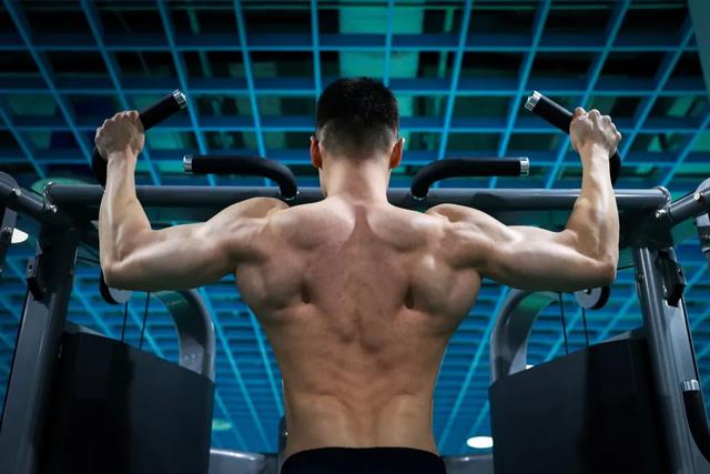 体育锻炼的基本方法，体育锻炼的方法（教你八个动作分分钟入门）