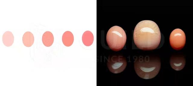 什么珍珠最好，什么珍珠最好看（看懂这4点就能买到高档次的珍珠）