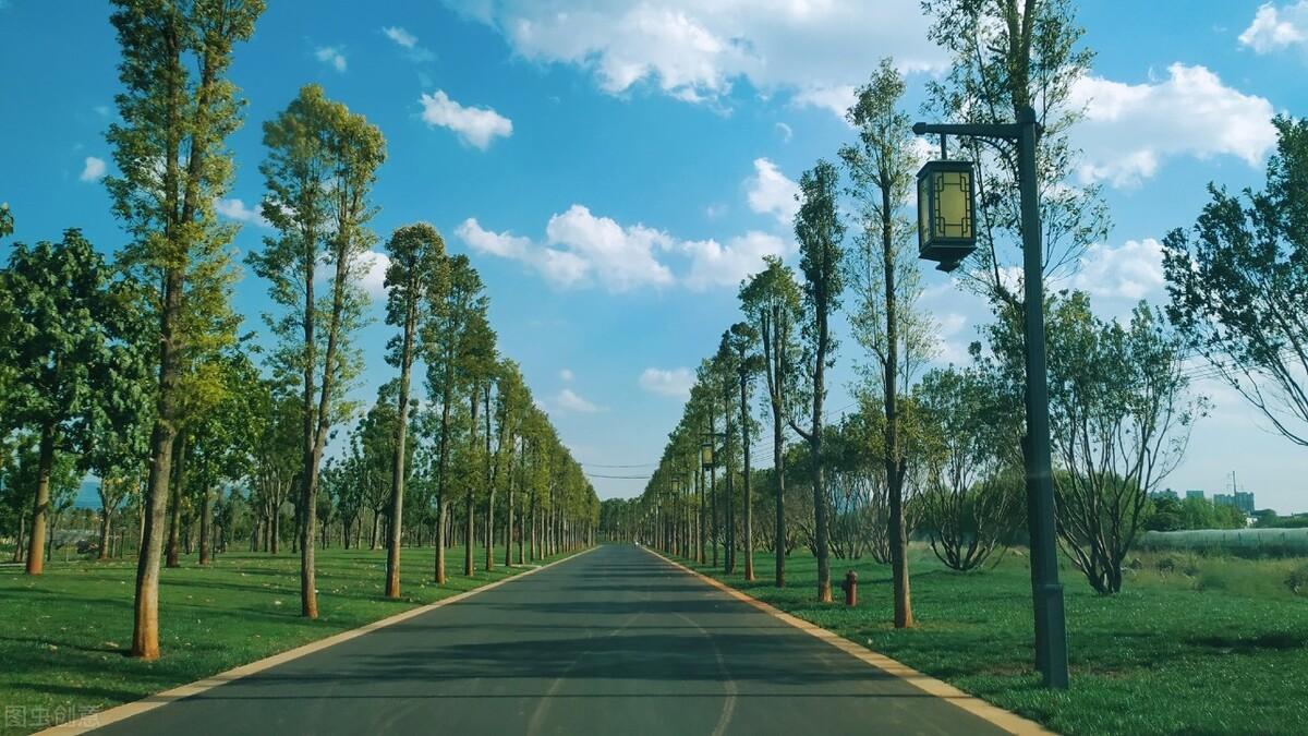 律师工作管理系统（山东赤山律师事务所已经完成了律师所管理系统注册工作）