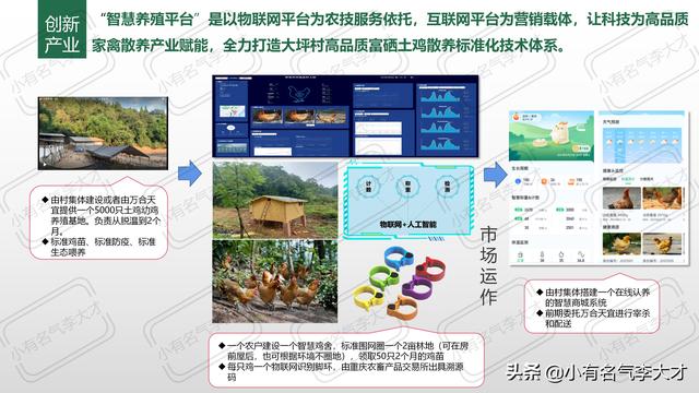 农业产品推广方案，农业品牌综合创建及营销策划方案