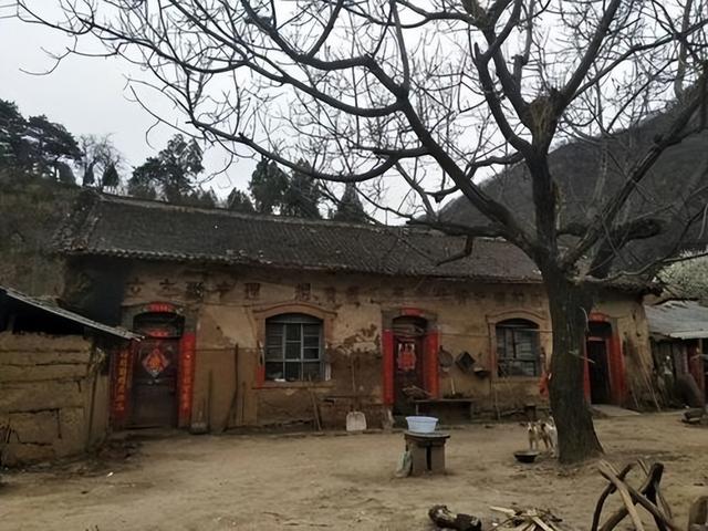 农村的漂亮姑娘，最漂亮的女人农村（河南农村漂亮“椅子姑娘”）