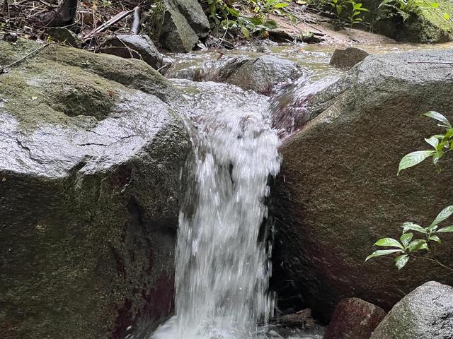 七仙岭带你爬山，假期运动量统统献给了这个热带雨林