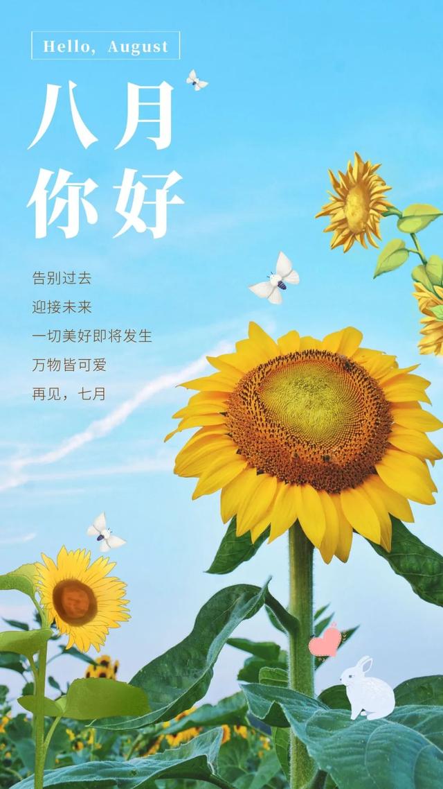 八一建军节发朋友圈，建军节文案（正能量经典语录）