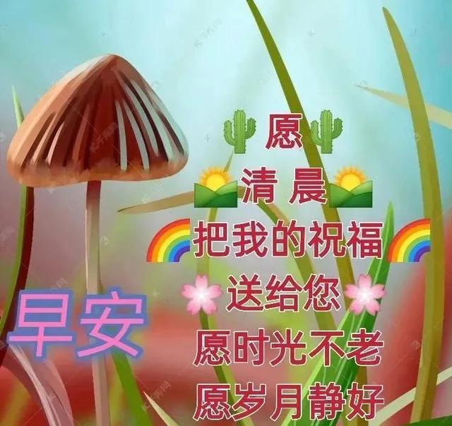 阳光话语，阳光话语图片（正能量经典文案句子）