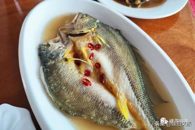 葱油黑鲷鱼做法，油炸鲷鱼做法（东海全面解禁）