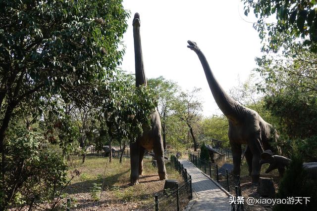 八公山的由来，八公山的由来是什么（淮南王刘安发明豆腐和淝水之战交战的地方）