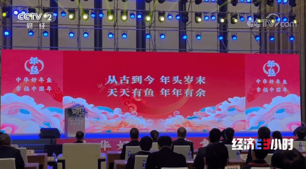 国家地理标志保护产品白蕉海鲈，白蕉海鲈再度霸屏央视